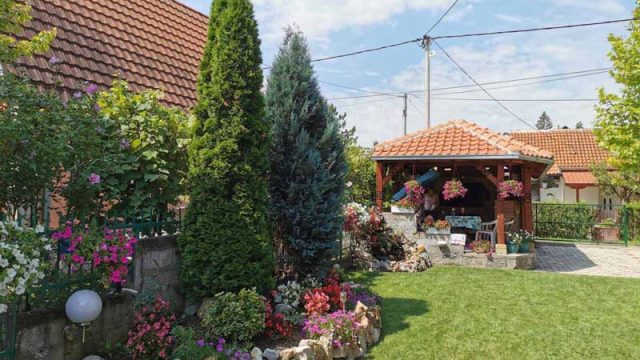 komazec12