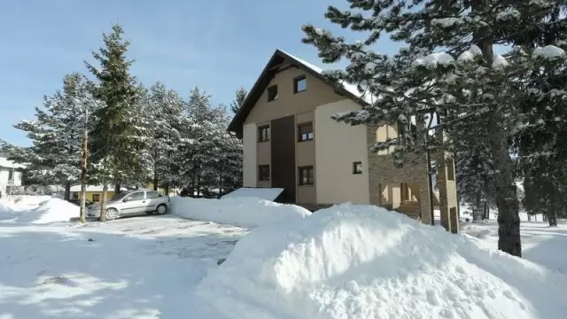 mipet-18