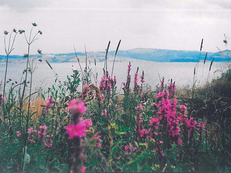 3m-pansioni-09