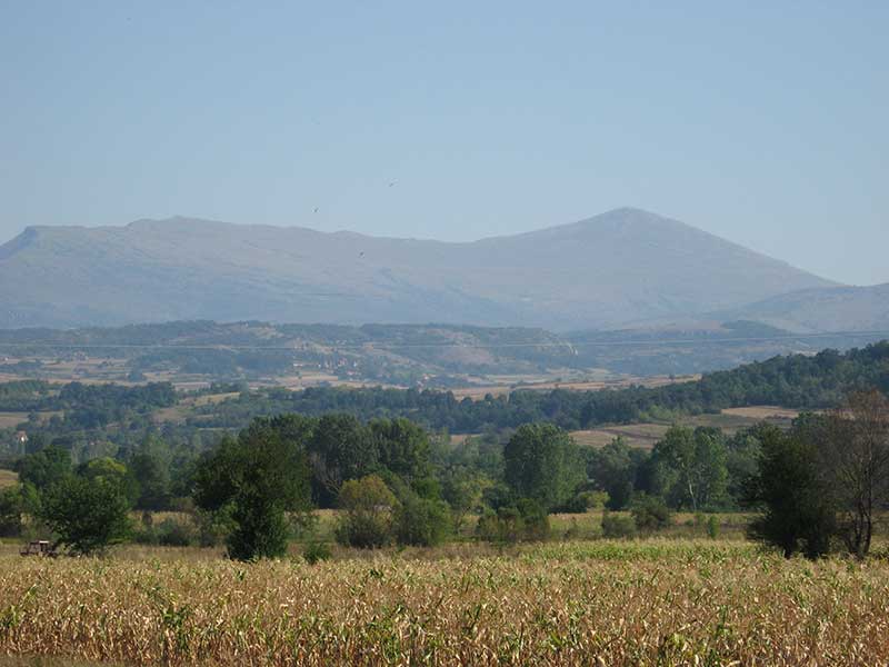 apartman-lidija-10