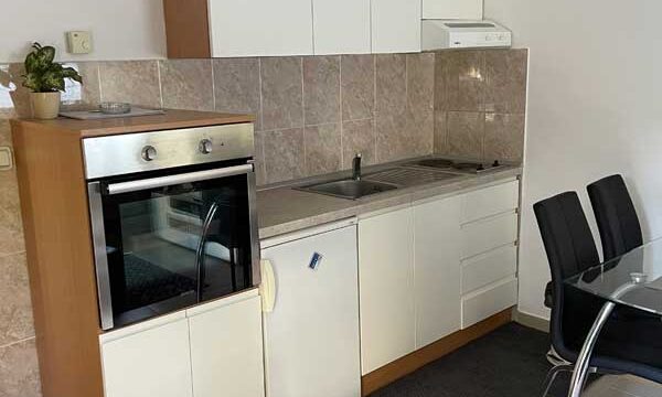 biljana-01-05
