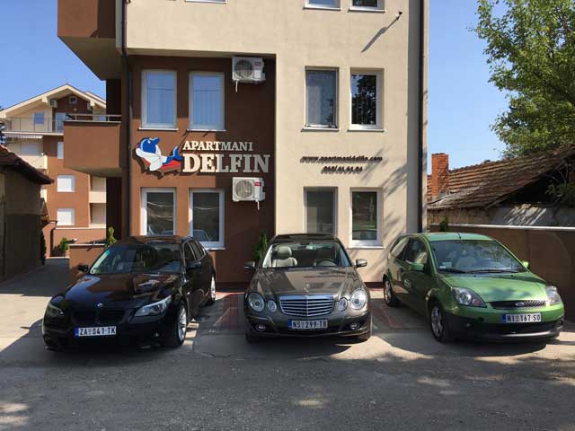 delfin12