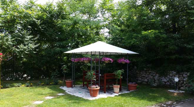 dincic03