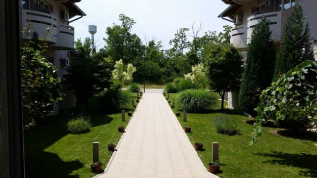 dincic04