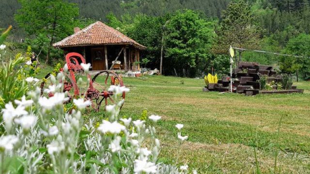 lopatnica-kodcvela-01-3