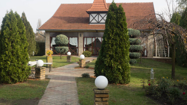 palic-5