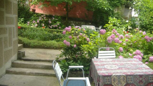 pejovic-jasmina-03