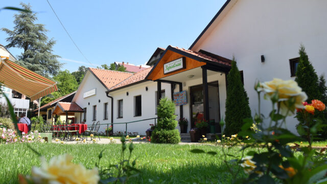 zdravljak-04