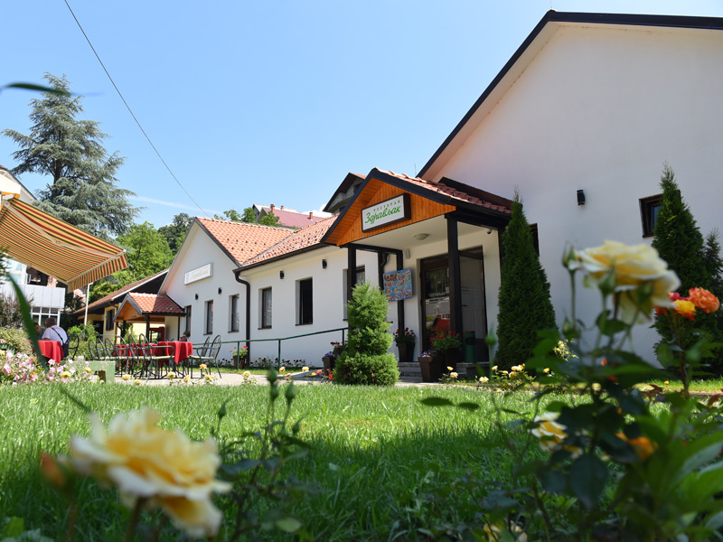 zdravljak-04