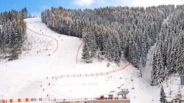 zlatar-jelena01