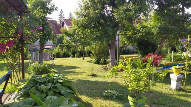 planinka-03