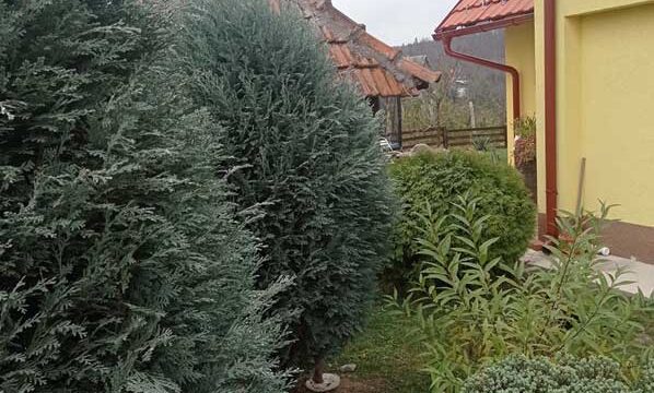 sunce-srce-duga-08