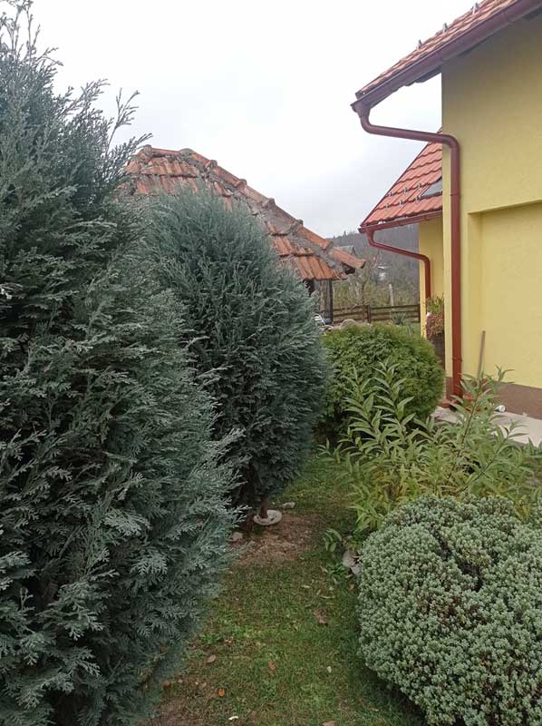 sunce-srce-duga-08