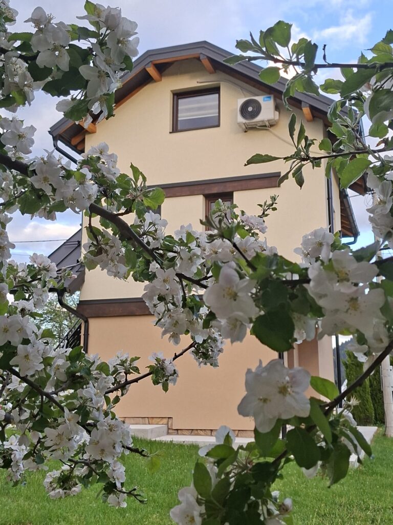 IMG-20260512-WA0012