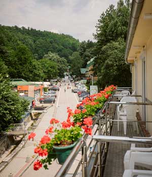 Gornja Trepča