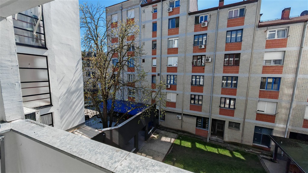 srki-danijela-06